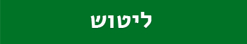 ליטוש עמוד הבית