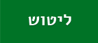 ליטוש עמוד פנימי